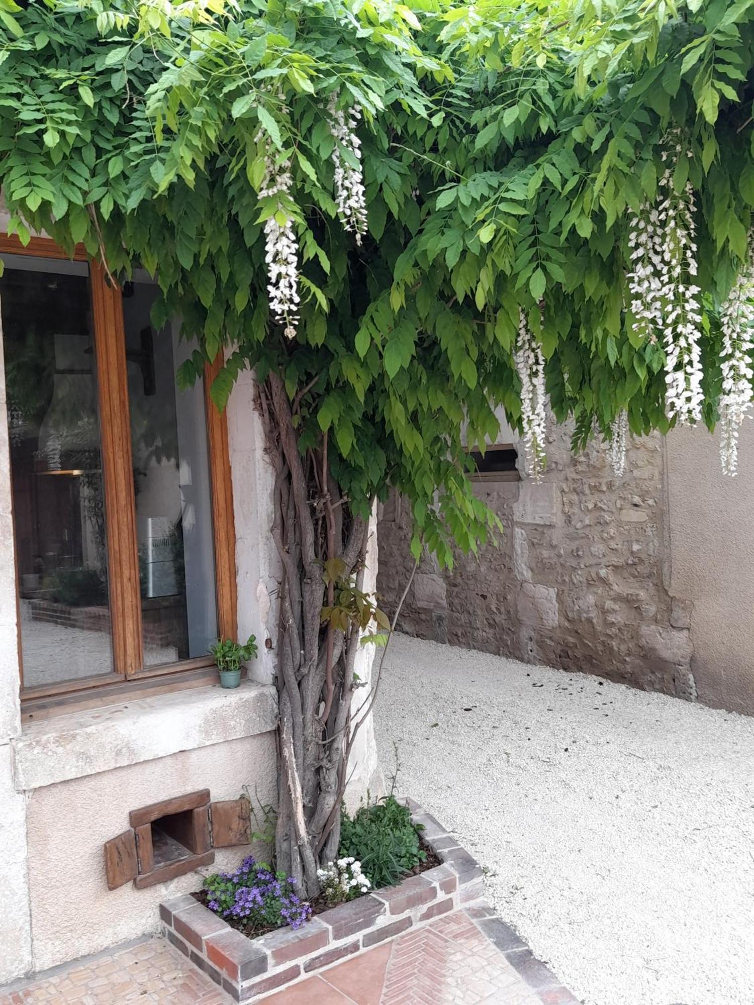 Aux Sources De Ouanne Bed & Breakfast Bagian luar foto